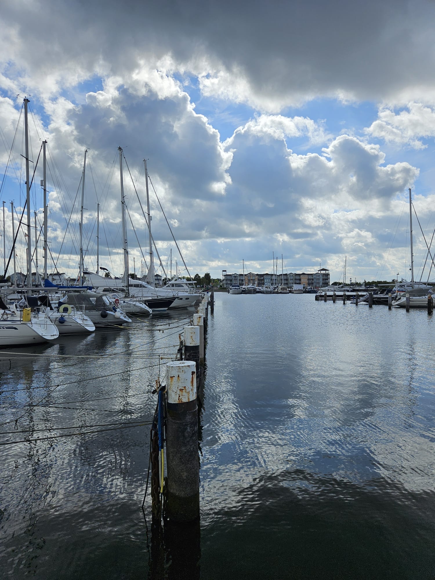  Gebruikte stalen buispalen meerpalen verankeringspalen in de haven