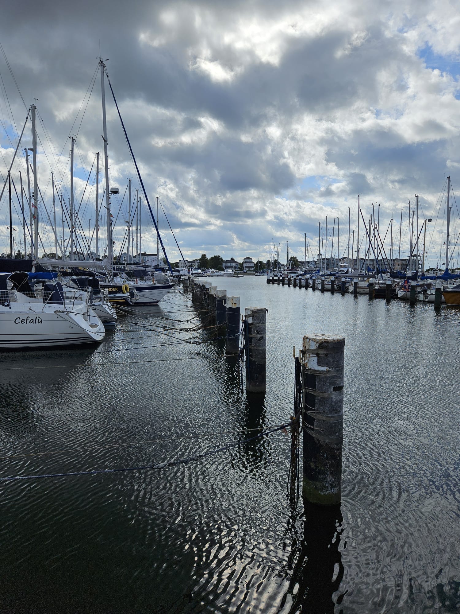  Gebruikte stalen buispalen meerpalen verankeringspalen in de haven